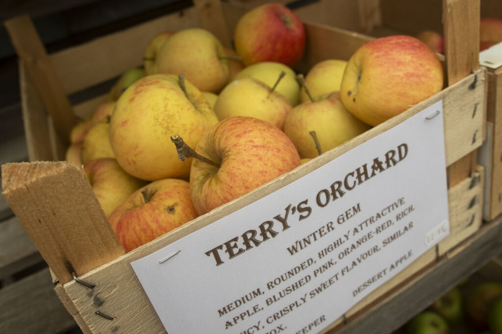 Market fields farm shop Halesworth locally sourced produce